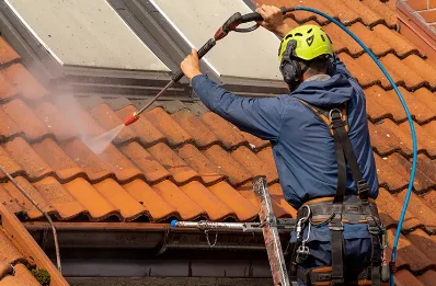 Démoussage et hydrofuge de toiture à Communay